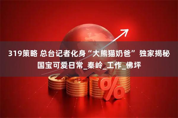 319策略 总台记者化身“大熊猫奶爸” 独家揭秘国宝可爱日常_秦岭_工作_佛坪