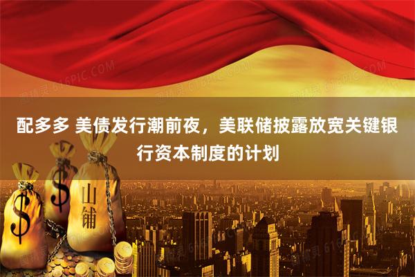 配多多 美债发行潮前夜，美联储披露放宽关键银行资本制度的计划