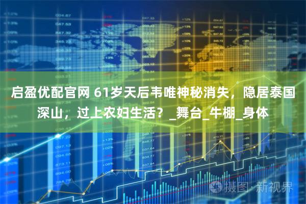启盈优配官网 61岁天后韦唯神秘消失，隐居泰国深山，过上农妇生活？_舞台_牛棚_身体