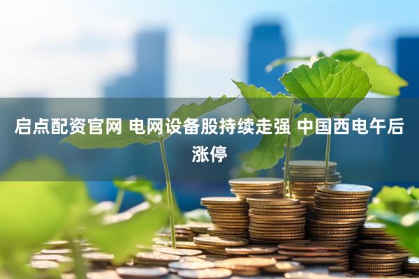 启点配资官网 电网设备股持续走强 中国西电午后涨停