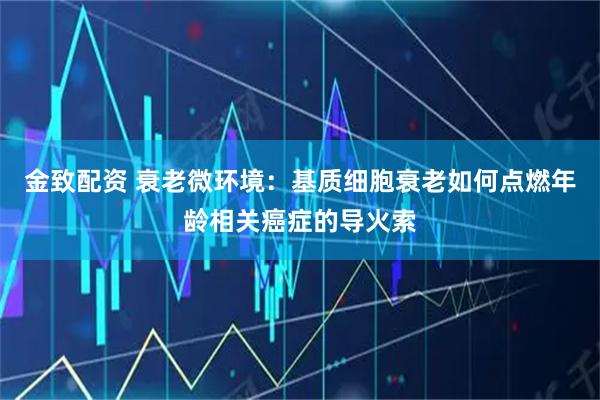 金致配资 衰老微环境：基质细胞衰老如何点燃年龄相关癌症的导火索