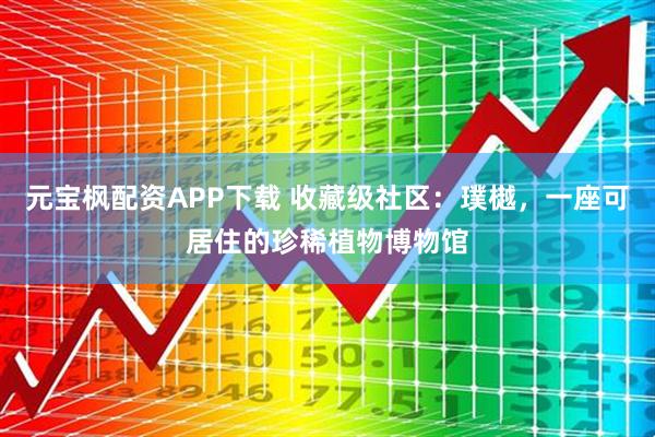 元宝枫配资APP下载 收藏级社区：璞樾，一座可居住的珍稀植物博物馆