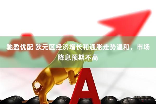 驰盈优配 欧元区经济增长和通胀走势温和，市场降息预期不高