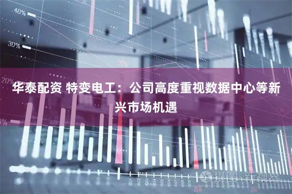 华泰配资 特变电工：公司高度重视数据中心等新兴市场机遇